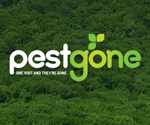 <i class='i fa fa-user'></i> Pestgone Pest Control<span><i class='i fa fa-folder-open'></i> Pestgone Logo Design</span>